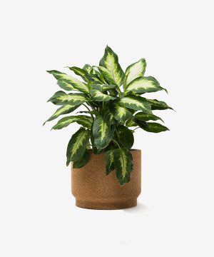 智能电子产品开发生产设备的创新与升级，驱动产业高质量发展的核心力量